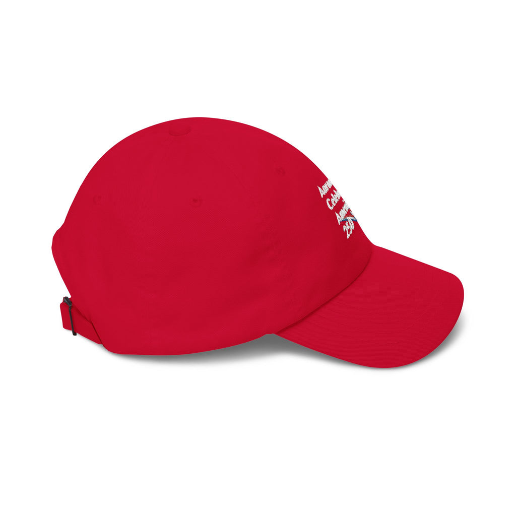 Aaron Celebrates America 250 Hat